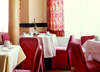 Tryp Rex 